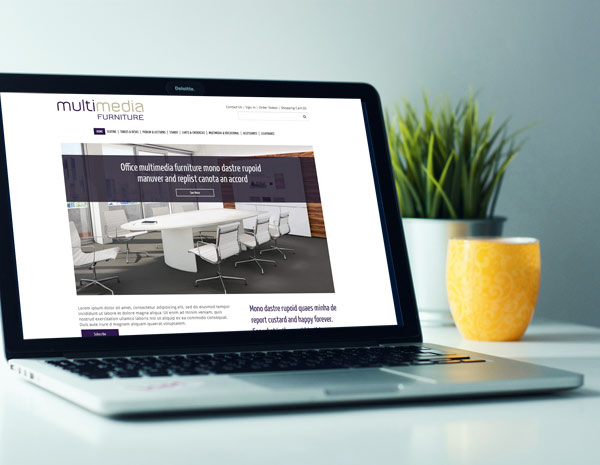 Multimedia Furniture Website